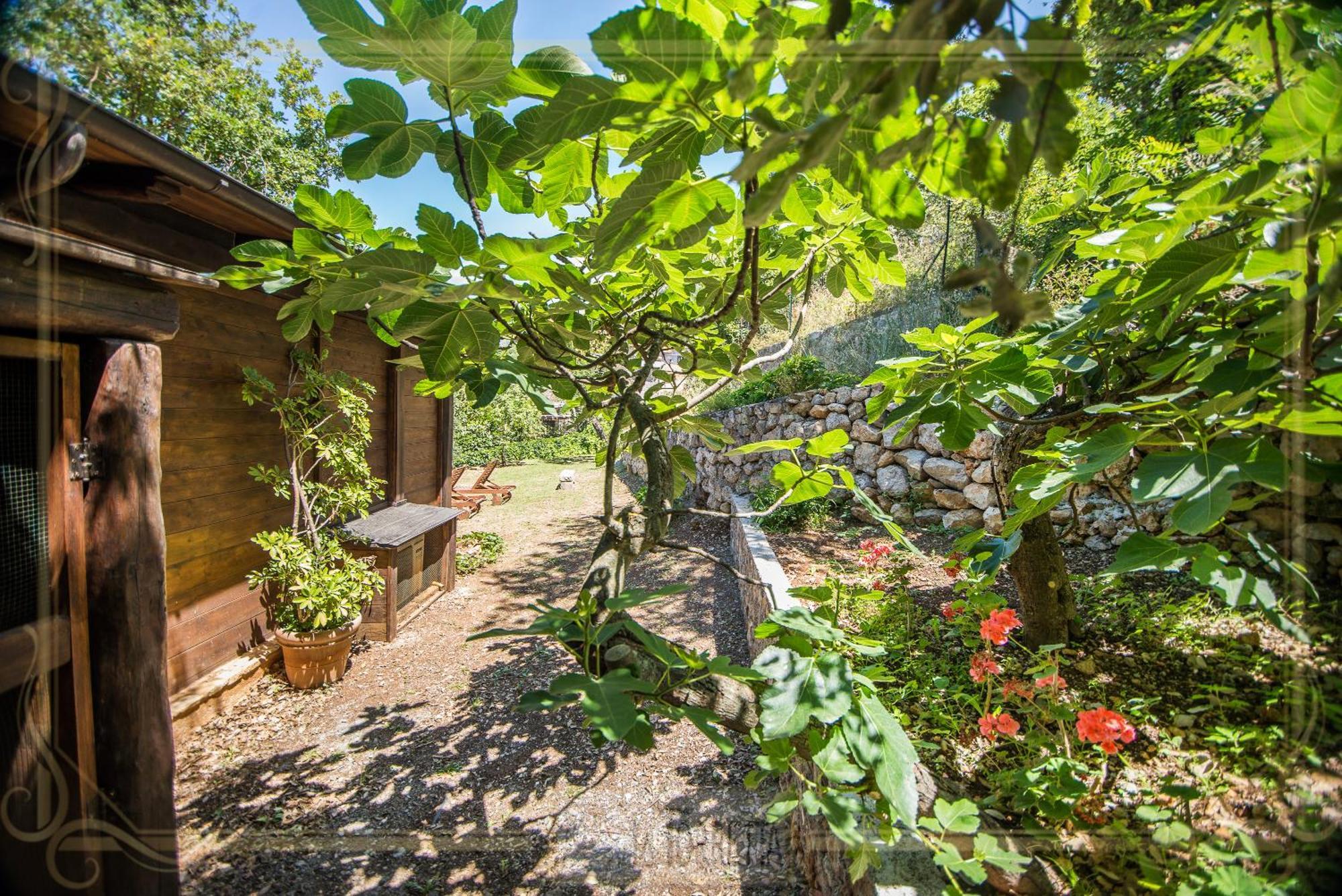 B&B La Torretta Maratea Eksteriør bilde